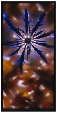 Signs of Life - Kirlian Photography by Robert Buelteman